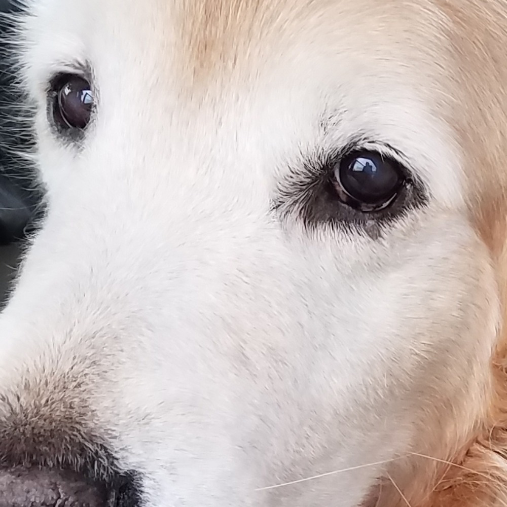 Meet your Posher, Julie